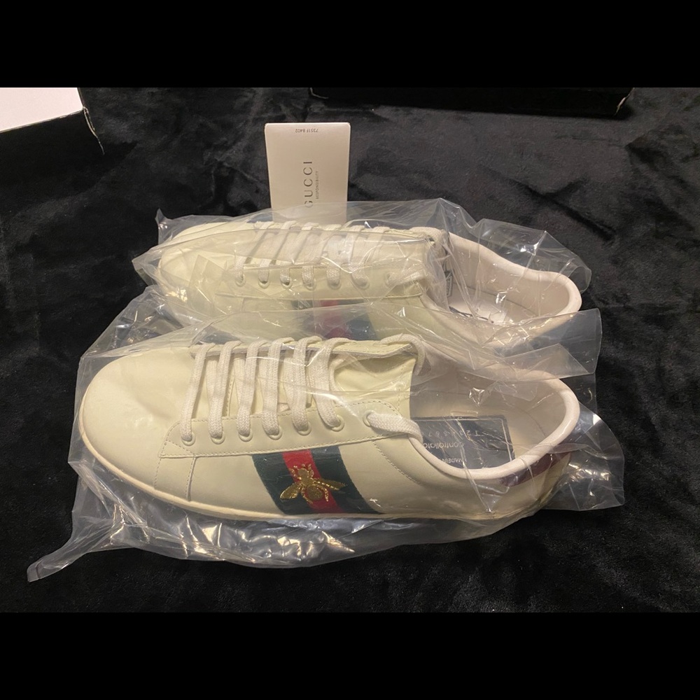Gucci ace